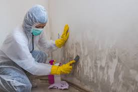 North Wantagh, NY Mold Prevention & Removal  Company